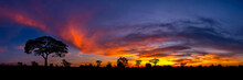 Panorama Beautiful African Red And Orange Sunset With Silhouettes Of Acacia Trees And Sun Setting On The Horizon In The Serengeti Park Plains, Tanzania, Africa.Wild Safari Landscape.
