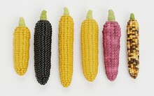 Realistic 3D Render Of Corns Collection