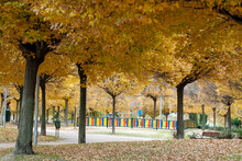 Children's Playground In The City Of Madrid In The Autumn Season Where The Fall And Change Of Color Of The Leaves Of The Trees Can Be Seen