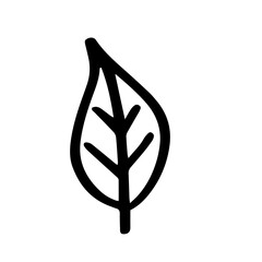 Poster - Leaf hand drawn illustration