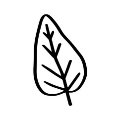 Poster - Leaf hand drawn illustration