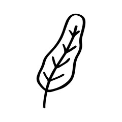 Poster - Leaf hand drawn illustration