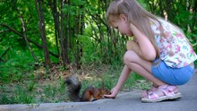 Child Feeding A Little Funny Squirrel In The Park . Wild Animals, Lend A Hand Theme.	