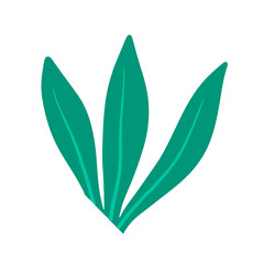 Poster - cute leaf cartoon