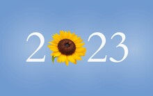 2023 New Year Background With Sunflower On Colorful Background