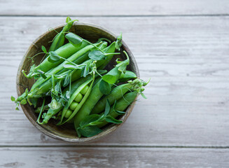 Sticker - Bowl with sweet pea pods