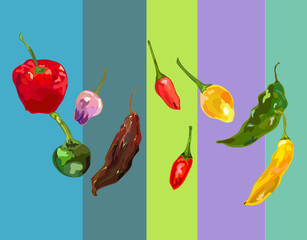 different types of peruvian pepper ilustration background