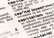 dictionary definition of capitalism