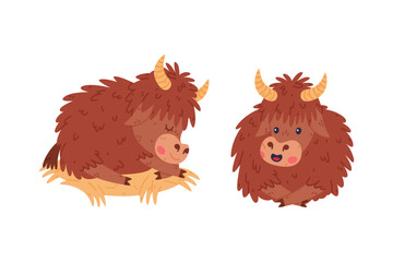 Poster - Cute Yak Character with Dense Fur and Horns Sitting Vector Set