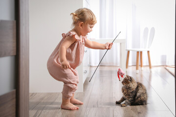 Wall Mural - Cute little child playing with adorable pet at home