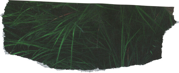 green textured scrap of journal paper	
