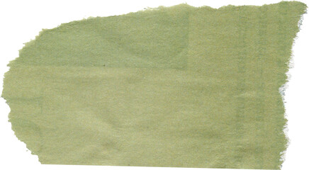 Wall Mural - green textured scrap of journal paper