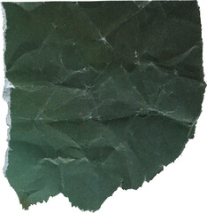 Wall Mural - green textured scrap of journal paper