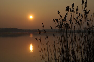 Wall Mural - Sonnenaufgang am Bodensee