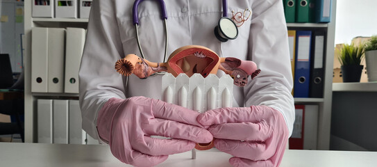 Medical suppositories and female uterus in hands of doctor