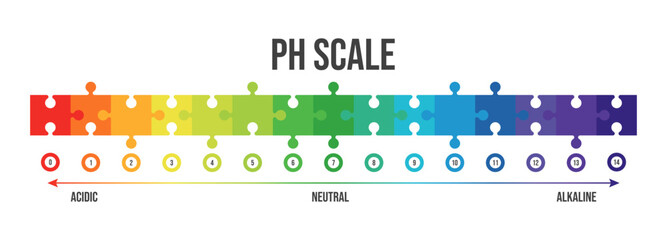 Vector illustration of pH scale isolated on white background. Color pH value scale chart meter infographic. Litmus paper indicator for acid-alkaline solution. 