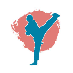 Canvas Print - Karate martial art fighter blue vector silhouette. on red background.