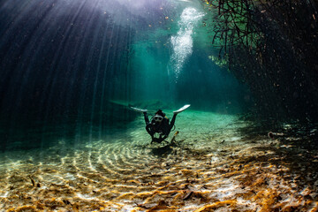 Wall Mural - cave diver instructor leading a group of divers in a mexican cenote underwater