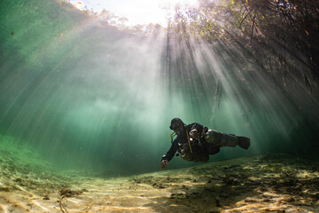 Wall Mural - cave diver instructor leading a group of divers in a mexican cenote underwater