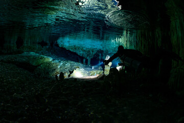 Wall Mural - cave diver instructor leading a group of divers in a mexican cenote underwater