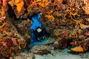 Wall Mural - woman scuba diving on Cozumel coral reef in Mexico