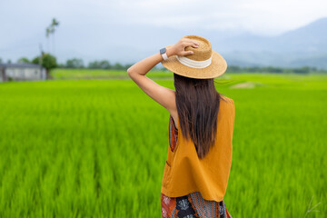 Canvas Print - Tourist woman in rice field in Yuli of Taiwan