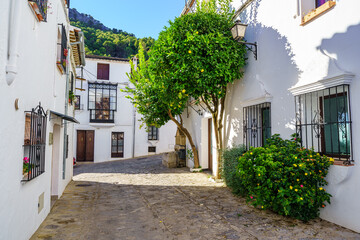  Nice white houses with barred windows and orange tree with fruits on a sunny day, Grazalema, Cadiz.