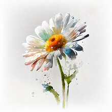 Abstract Double Exposure Watercolor Daisy Flower. Digital Illustration