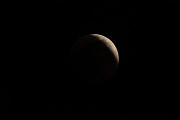 Wall Mural - the moon during a total lunar eclipse