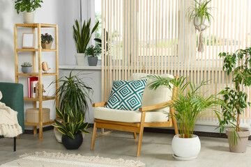 Wall Mural - Living room interior with beautiful different potted green plants and furniture. House decor