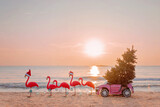 Fototapeta Łazienka - Winter flamingos are harnessed by a garland to a pink children's car with a Christmas tree in Santa hat on sea beach at sunset. Christmas design for cards, backgrounds 