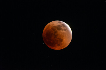Wall Mural - the moon during a total lunar eclipse