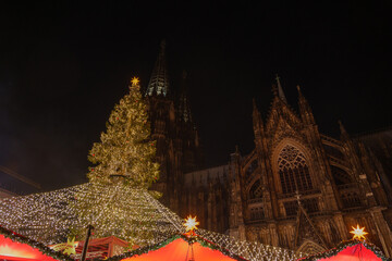 Wall Mural - Night scenery and low angle view of huge Christmas tree and Cologne Cathedral during Weihnachtsmarkt, Christmas Market in Köln, Germany.