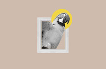Digital Collage, Bird Get Out Of Picture Frame