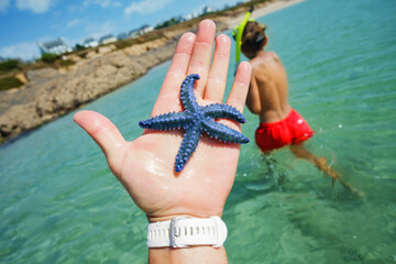 Wall Mural - Close-up of beautiful starfish in hand over ocean beach