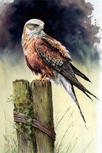 Red Kite On A Post In The Countryside