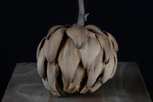 Dried Artichoke Isolated On Black Background
