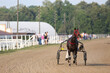 Horse and rider running  at horse races