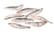 frozen fish (sardine) , png file