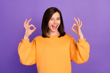 Sticker - Portrait photo of young adorable gorgeous lady wear sweater blink eye showing okey sign recommend new offer isolated on violet color background