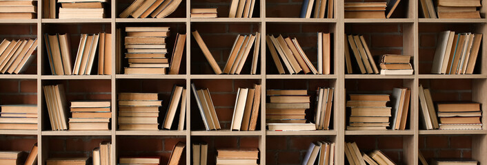 Canvas Print - Many books on shelves in library