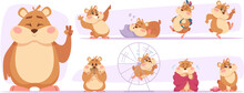 Fluffy Hamsters. Domestic Pets Sleeping Playing And Eating Exact Vector Hamsters In Cartoon Style