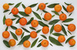 Fruit pattern from fresh mandarin and leaves on white background. Citrus background from fresh whole tangerines. Top view. Flat lay.