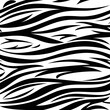 Zebra's vector seamless  pattern