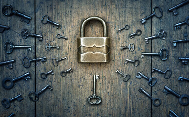 Fototapete - Antique door lock and old keys on a tree. Find your matching key to the lock. Concept and idea on the topic of security, history, protection, guard, secret, preservation, etc. Retro style.