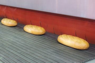 Poster - industrial production of bakery products on an assembly line - technology and machinery in the food factory