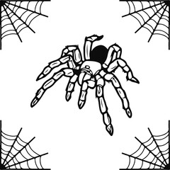 vector illustration of a spider with a web