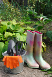 Fototapeta  - Metal bucket with gloves, gardening tools and rubber boots near plants outdoors
