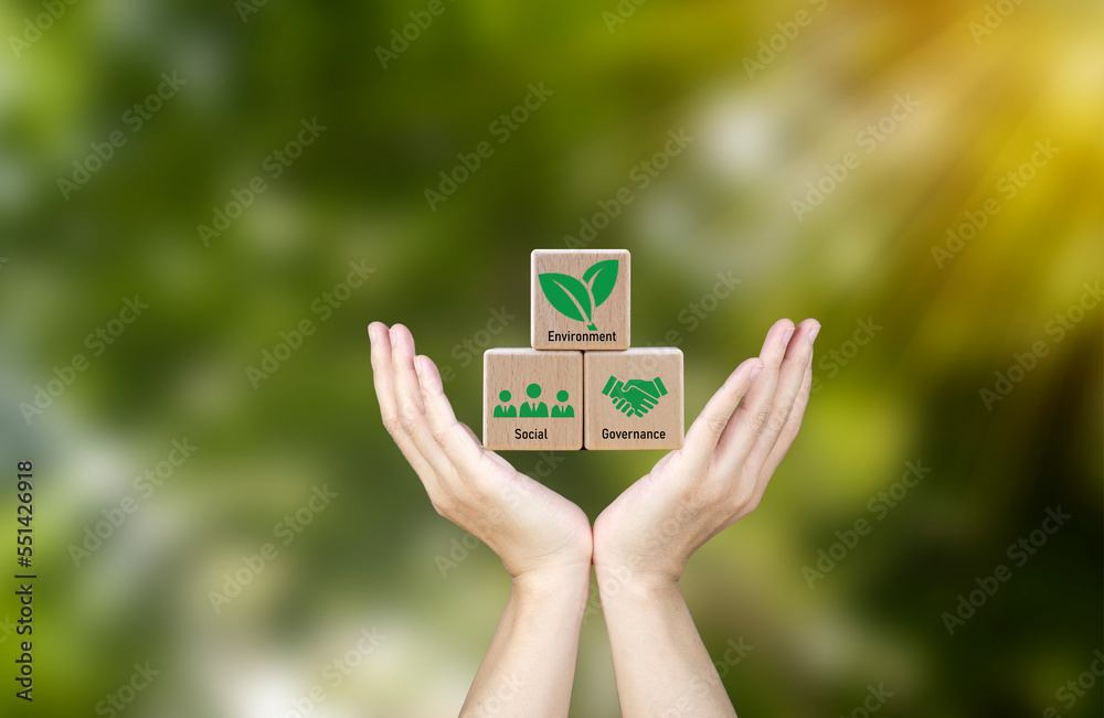 Concept of sustainable corporate development, wood block and future ...
