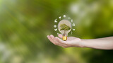 Fototapeta Pokój dzieciecy - Renewable resource concept to save energy, male hand holding light bulb, coin, growing tree showing alternative energy icon, protect environment, energy and finance. investing in energy stocks